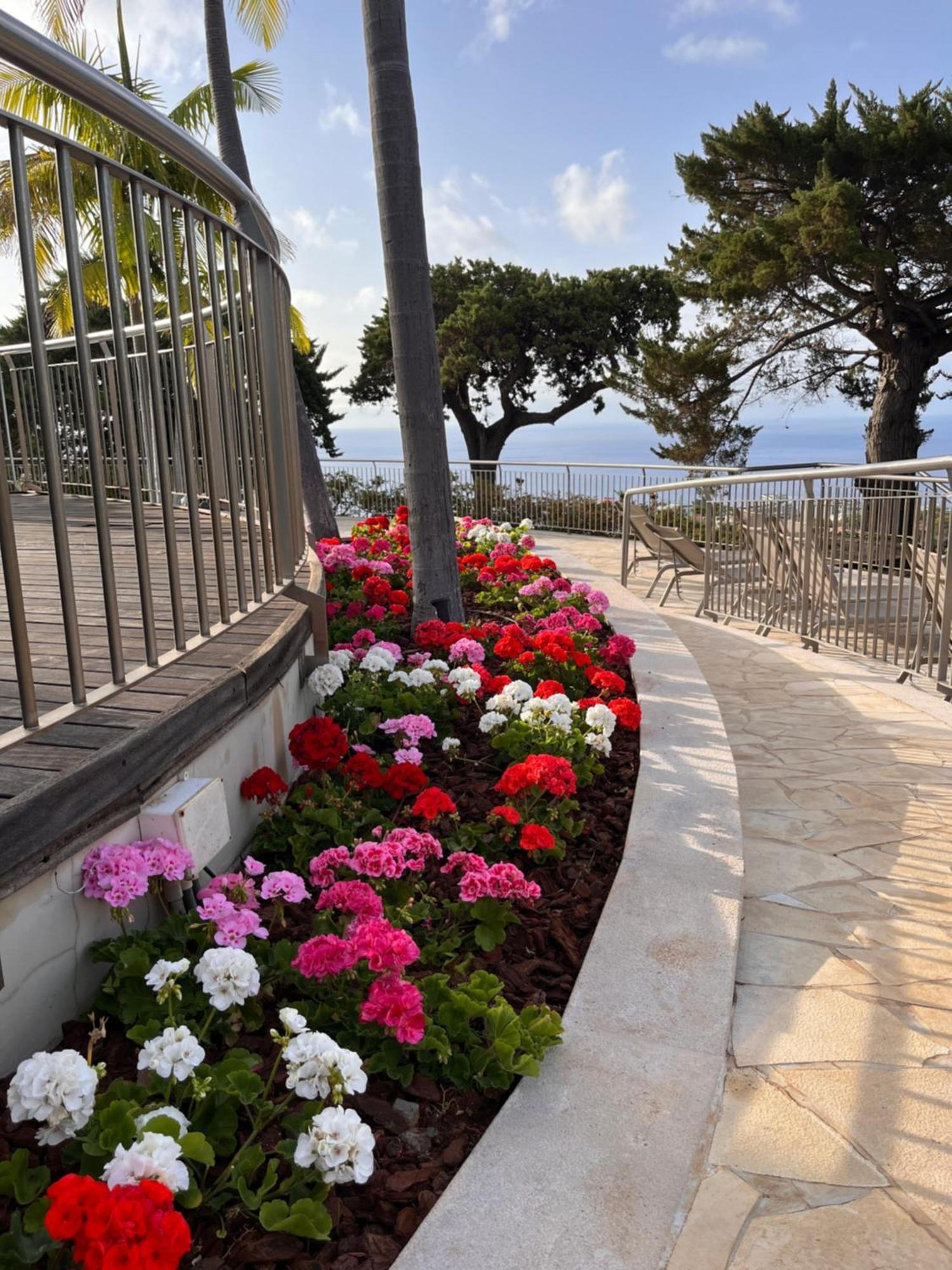 Hotel Quinta Gardens - Adults Only 5*